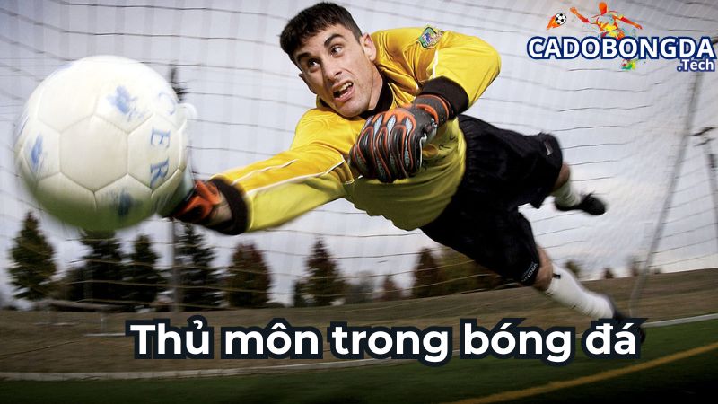Thủ môn trong bóng đá là gì?