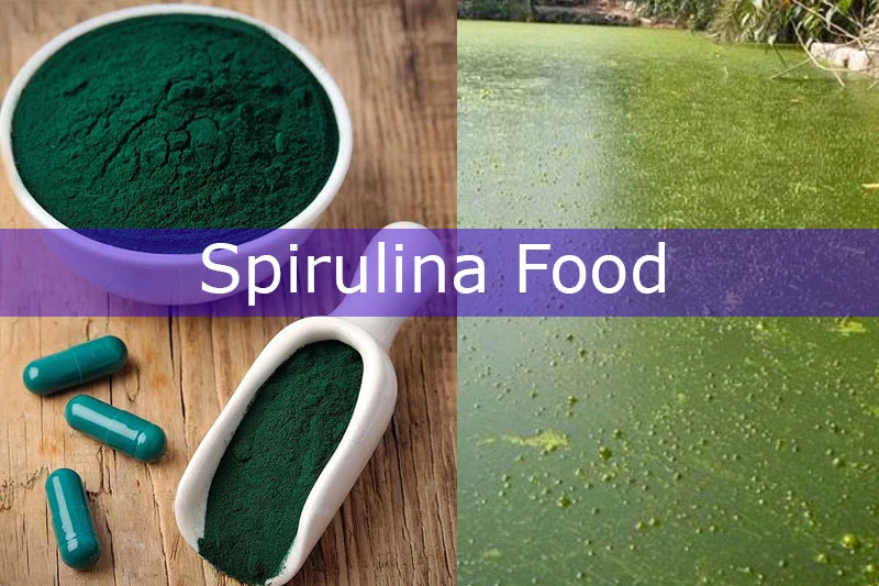 স্পিরুলিনা-Spirulina Food