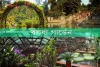 বলধা গার্ডেন-Bulldha Garden
