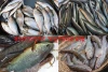 বাংলাদেশের স্বাদুপানির মাছ - Freshwater fish of Bangladesh