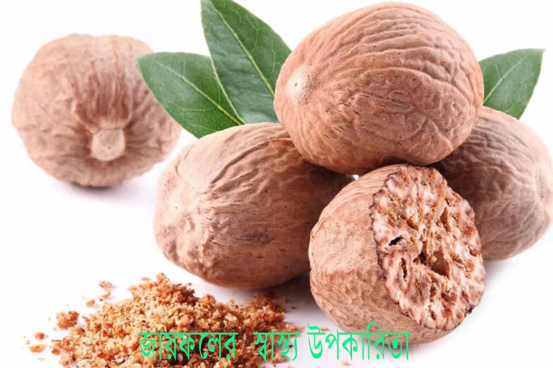 জায়ফল-এর ভেষজ গুণাগুণ - Herbal properties of nutmeg