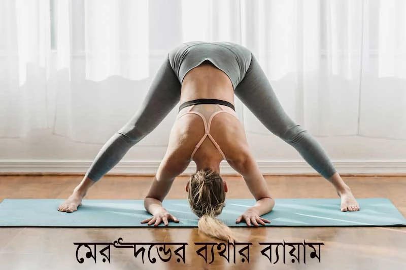 মেরুদন্ডের ব্যথার ব্যায়াম - Exercises for back pain