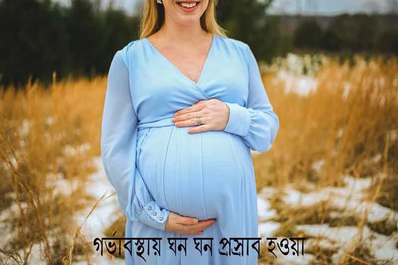 গর্ভাবস্থায় ঘন ঘন প্রস্রাব হওয়া - Frequent urination during pregnancy