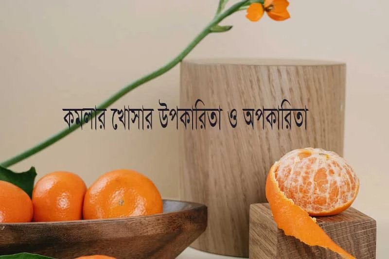 কমলার খোসার উপকারিতা ও অপকারিতা-Benefits and harms of orange peel