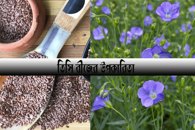 তিসি বীজের উপকারিতা- Benefits of Flaxseeds
